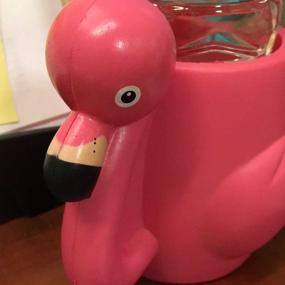 Meet your Posher, Carol